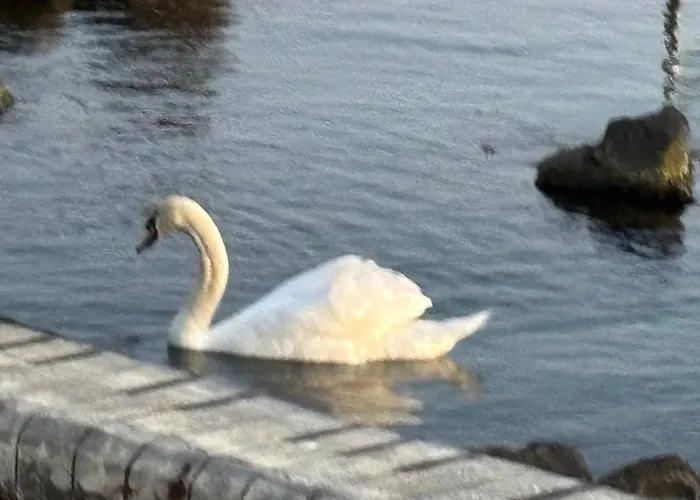 Alma Del Mar - Miadia Grand Resort,